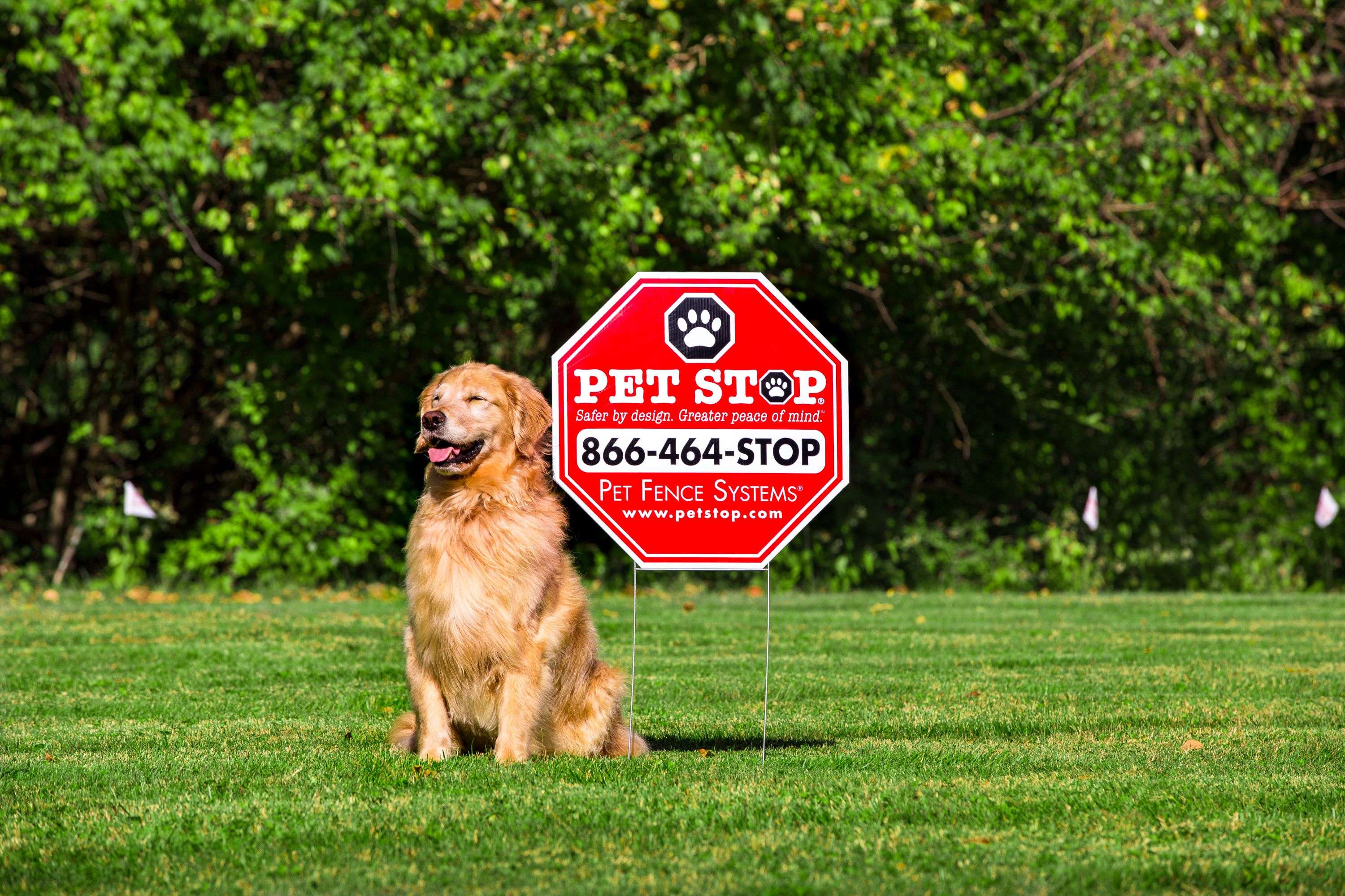 pet friendly electric fence